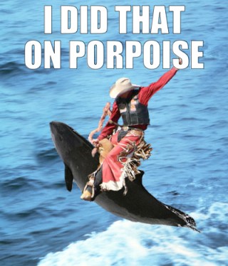 I did that on porpoise
